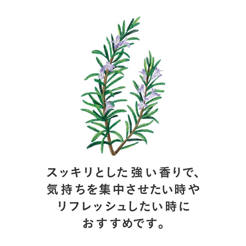 Tea Boutique Mini Pack Rosemary Leaf 40g