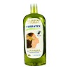 Shampoo Naturista De Hierba Romero 400 Ml
