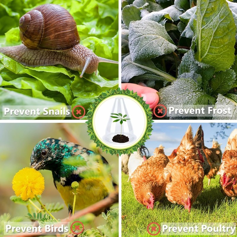 KAHEIGN Transparent Plant Protection Covers