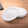 Gräwe Premium Disposable Plates with Silver Rim / Large 26