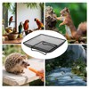 Small Bird Feeder - Outdoor Bird Feeders Ground Tray,Metal Mesh