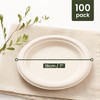 HAAGO Sugarcane Bagasse Disposable Plates for Birthdays, Weddings, Parties -