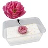 Ideen mit Herz Preparation salt for flowers, plants and grasses,