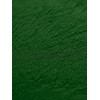 Biojoy Organic Spirulina Powder (1 kg), Spirulina Algae, 100% Natural