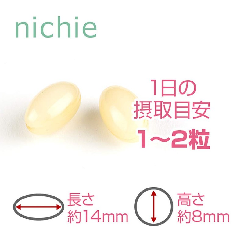 nichie 有胞子性乳酸菌 ビフィズス菌 乳酸菌生成物質 酵素 ソフトカプセル 約6ヶ月分(180粒)