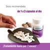 Vitalitat - Probióticos | Bote con 60 Cápsulas de 500