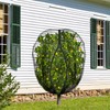 5.3 x 5.3 Ft Black Large Fruit Tree Netting with