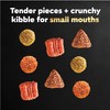 Cesar Small Breed Dry Dog Food Filet Mignon Flavor and