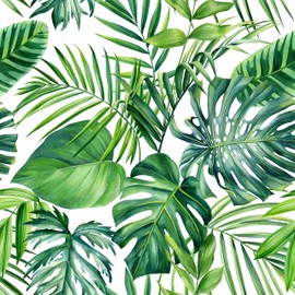 SANILA Tropical Palm Leaf Wallpaper Peel and Stick Wallpaper Tropical Wallpaper Palm Leaf Contact Paper Jungle Wallpaper Palm Leaves Wall Paper Self Adhesive Removable Wallpaper Decor 17.7”x236.2”