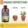Gardenera Premium Liquid Fertilizer - 3-1-2 Concentrate for Tropical Indoor