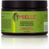 Mielle Organics Mint Rosemary Oil for Hair Growth Bundle Pack