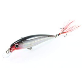 Rapala X-Rap 8 cm 10 cm Wobbler Artificial Bait Lure Pike Zander Colour S - Silver, Size 10 cm