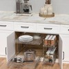 OCG 2 Tier Pull Out Cabinet Organizer (21.5" W x