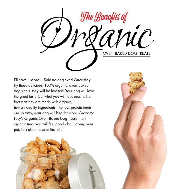 Grandma Lucy's Organic Oven Baked Dog Treats - Blueberry, 14