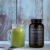 KIKI HEALTH KIKI Health Organic Chlorella Powder | Broken Cell