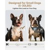 Jugbow Shock Collar for Small Dogs - 4200FT Dog Training