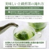 Delicious Japanese Tea Laboratory, Sencha Tea Bag, 0.1 oz (4