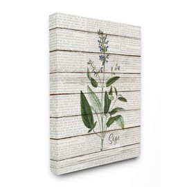 Stupell Industries Sage Vintage Herb Kitchen Dining Room Word Collage Design Canvas Wall Art, 24x30, Multicolor