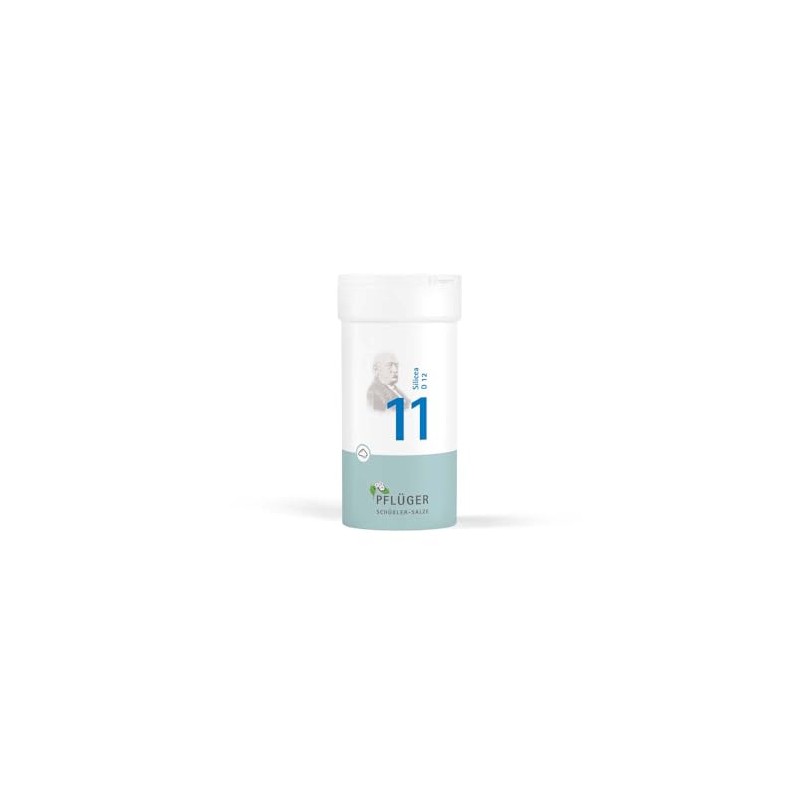 Biochemie Pflüger 11 Silica D 12 Powder 100 g
