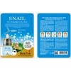Snail mask pack, face pack sheet, skin care 40 packs / 달팽이 마스크팩 얼굴팩 시트 피부 관리 40개