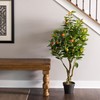 Vickerman 48" Artificial Green and Orange Real Touch Orange Tree.