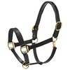 KM Elite Padded Leather Head Collar Medium Black