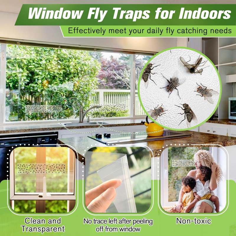 Qualirey 30 Pack XL Window Fly Traps for Indoors, Extra