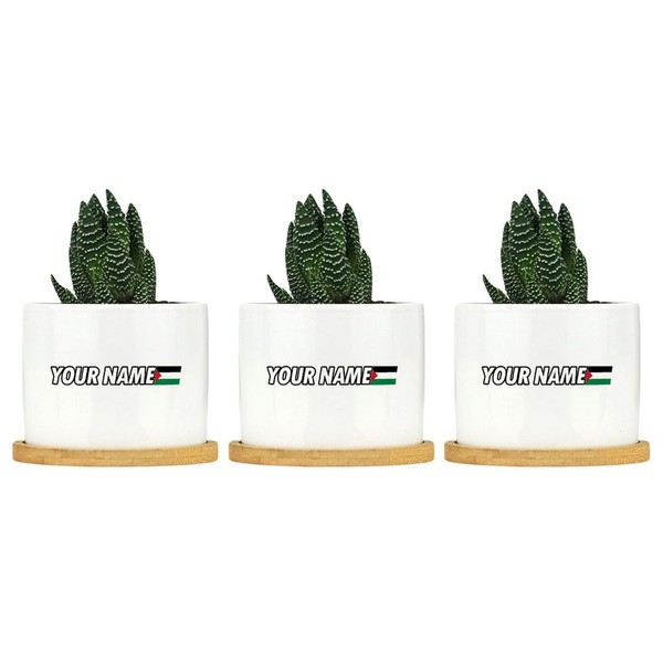 DecStic Custom Your Name with Palestinian Flag Ceramic Planters Festival