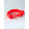 HUGO & HUDSON Waterproof Dog Collar, Anti Odor and Easy