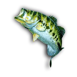 Vinyl Junkie Graphics Large Mouth bass Sticker/Decal