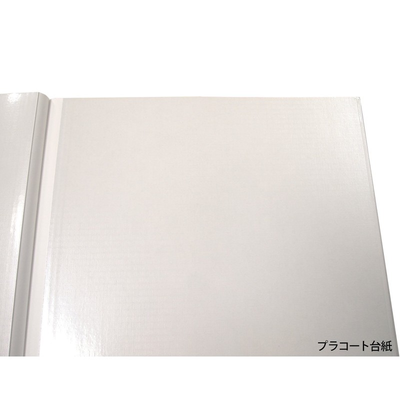 ナカバヤシ ファイル デジタルフリーアルバム Praffine A4 ブルー ア-A4P-164-B