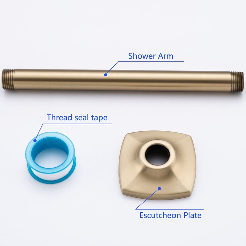 SWHYGER 8 Inch Ceiling Mount Shower Arm and Flange,Straight Arm