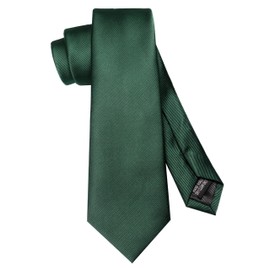JEMYGINS Green Formal Necktie and Pocket Square, Hankerchief and Tie Bar Clip Sets for Men