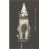 Cat in Dunce Cap - Vintage Image