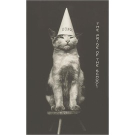 Cat in Dunce Cap - Vintage Image