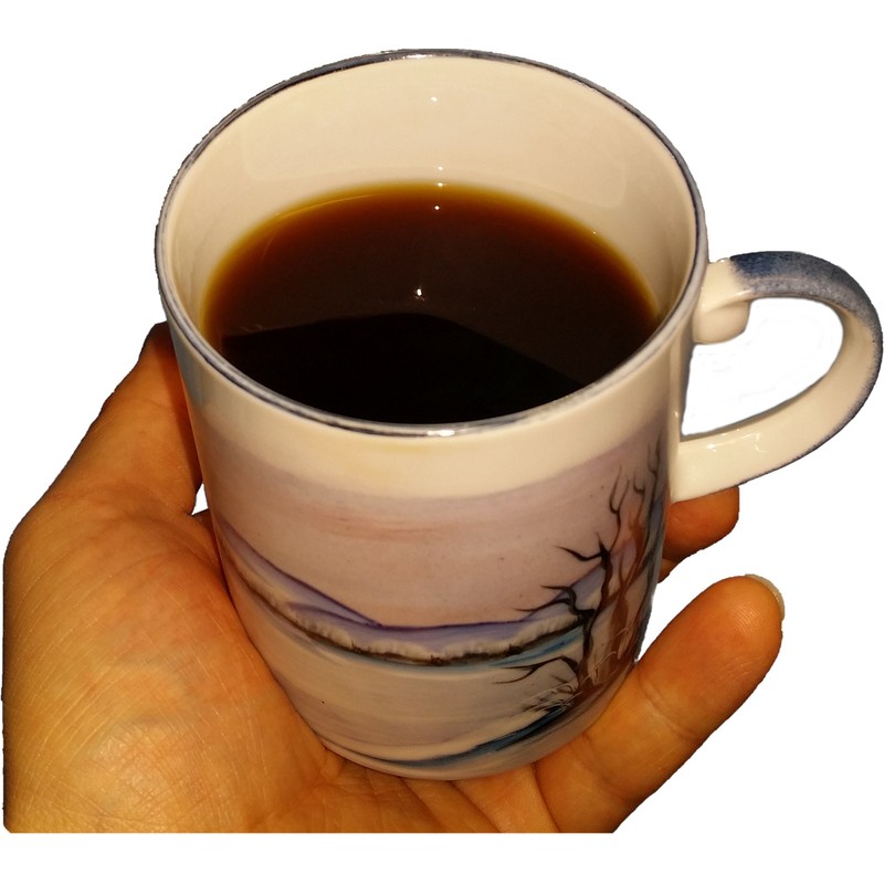 Original Chaga Powder in Tea Bag