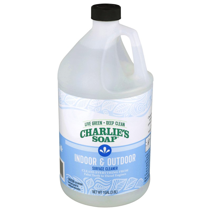 Charlie's Soap Indoor-Outdoor Surface Cleaner with Pump (1 Gallon, 1