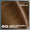 Clairol Root Touch-Up by Nice'n Easy Permanent Hair Dye, 6G