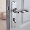 Beschläge Hamburg EMILY ART 70-09 MPN PVD WC Door Handles