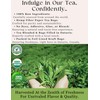 Majestic Tea_ LAVENDER FIELDS| Pure Rooibos Tea | Naturally Decaf