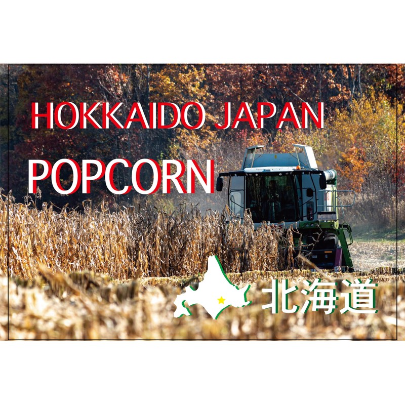 HOKKAIDO MICROWAVE POPCORN