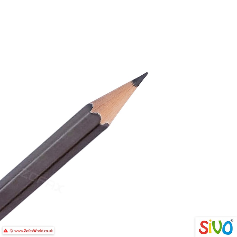 SIVO Artist Graded Drawing Pencils Combo Pack (12 x 4H