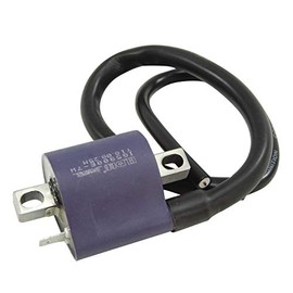 ELDAD Ignition Coil General Purpose Super Cub Monkey R Cygnus 125 Majesty 125 Ape Ducks