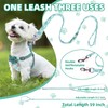 PUPTECK Dog Harness and Leash Set Small Sized, Step-in Cute