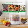 Nutrichef Food Dehydrator Machine | Multi-Tier Appliance for Home Use