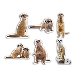 6 x 10cm Meerkat Vinyl Stickers - Safari Zoo Wildlife Animal Funny Pattern Nature Pets Face Wild Girls Boys Travel Scrapbooking #80791