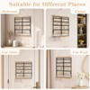 Hanging Jewelry Organizer 4-Tier Wall Earring Holder for Necklaces, Rings