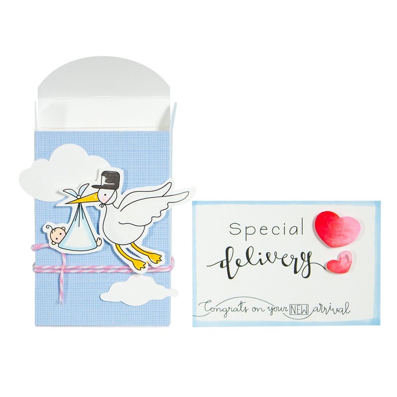 Spellbinders Stamp & Die Set