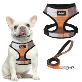 PUPTECK Soft Mesh Dog Harness and Leash Set Pet Puppy Cat Comfort Padded Vest No Pull Harnesses, Orange, M