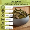 Akshit Soursop Leaves, 200+Graviola Leaves, Hojas De Guanabana Leaf, Tea,